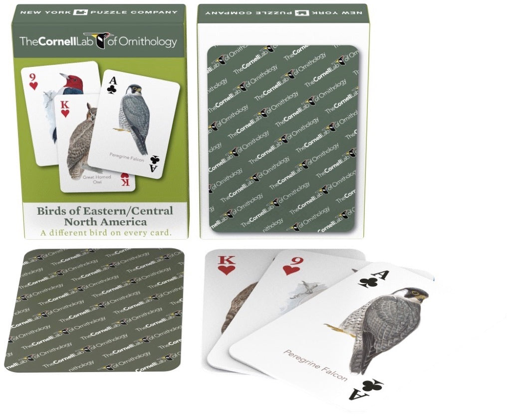 New York Puzzle Company Birds of Eastern/Central North America Playing Cards