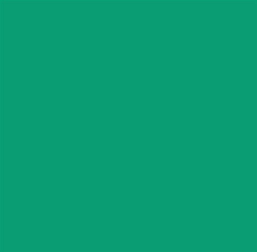 Tru-Color TCP-2452 Matte Jade Green Sprayable Matte Paint - 2 oz Bottle