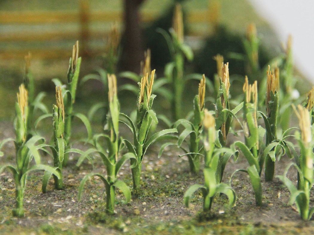 JTT Scenery Products JTT by Bachmann 32501 1" Corn Stalks