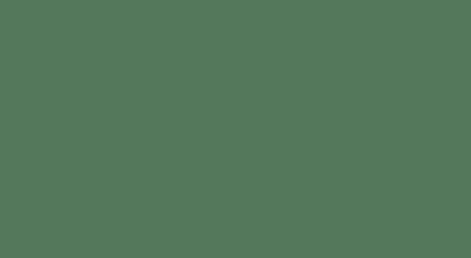 Rapido ProtoPaint 330016 Canadian National CN Grey #11