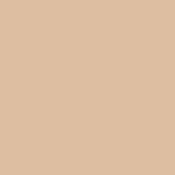 Tru-Color 4037 Matte Sand High Performance Spray Paint