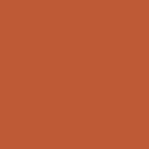 Tru-Color 4038 Matte Aged Brick High Performance Spray Paint