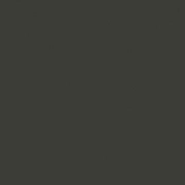 Tru-Color 438 Matte Dark Brown Tree Bark