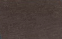 Tru-Color 668 Metallic Express Brown